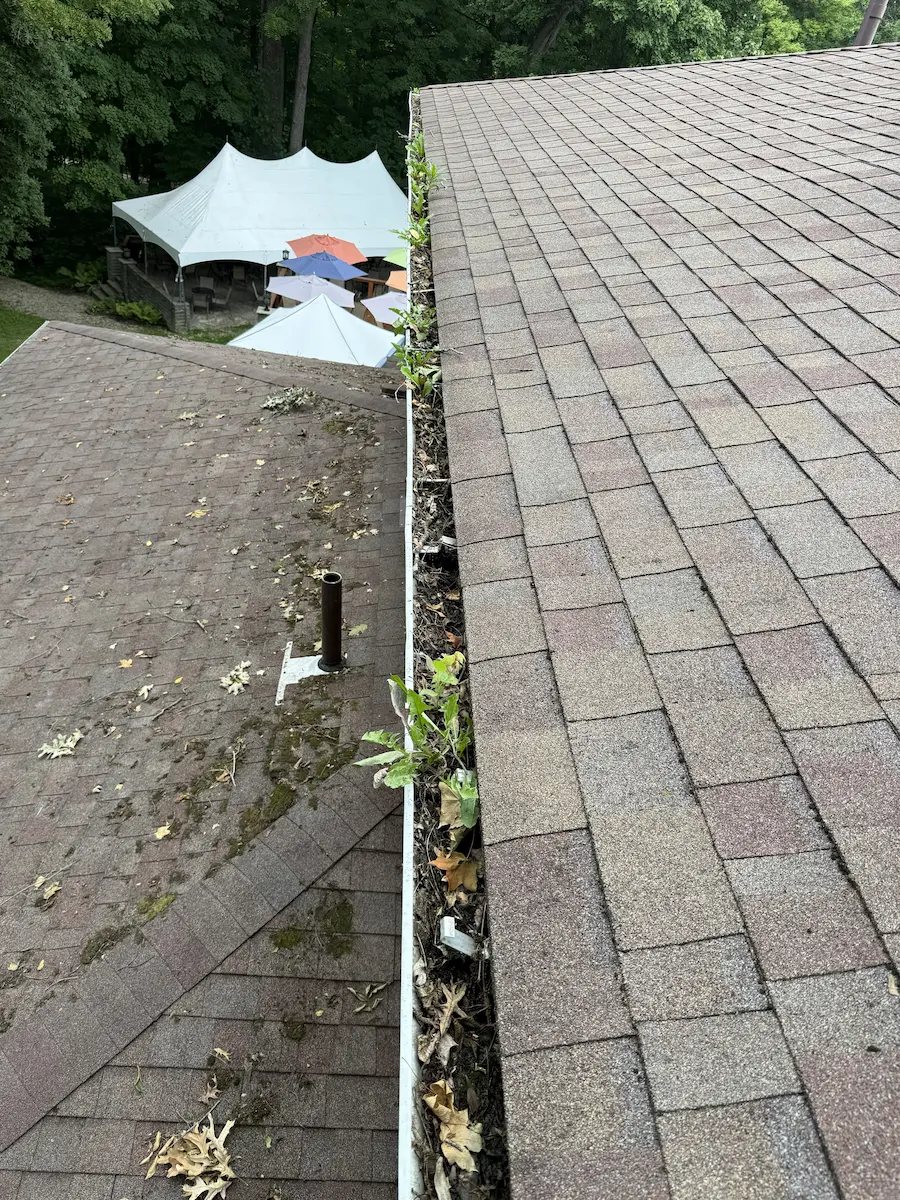 Gutter Cleaning Before 1 Plants and leaves completely clogging gutters before being cleaned