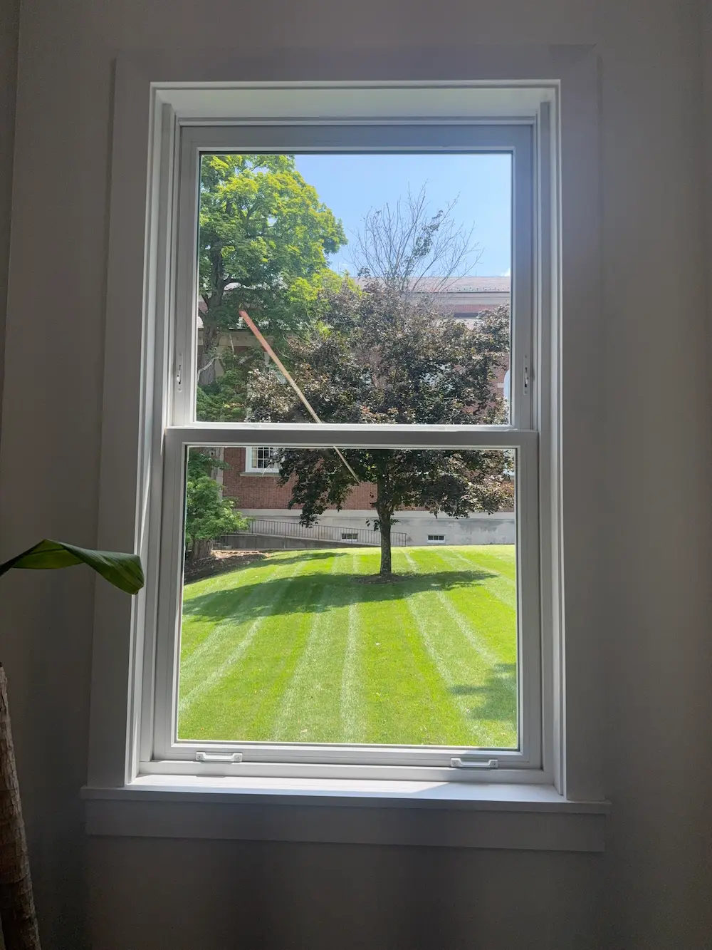 window after it's been professionally cleaned