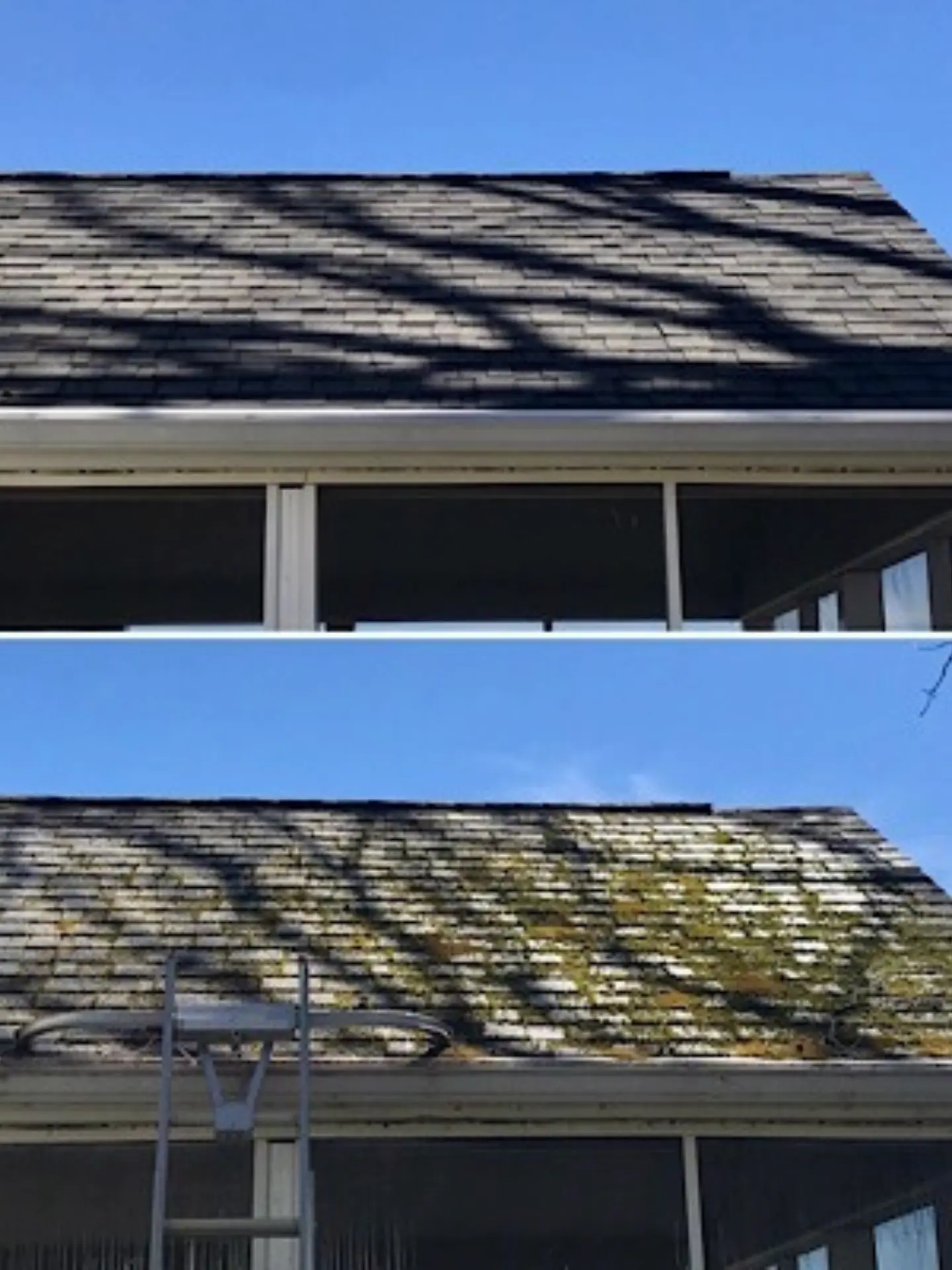 Before and after of roof cleaning by power clean on Buckeye Lake