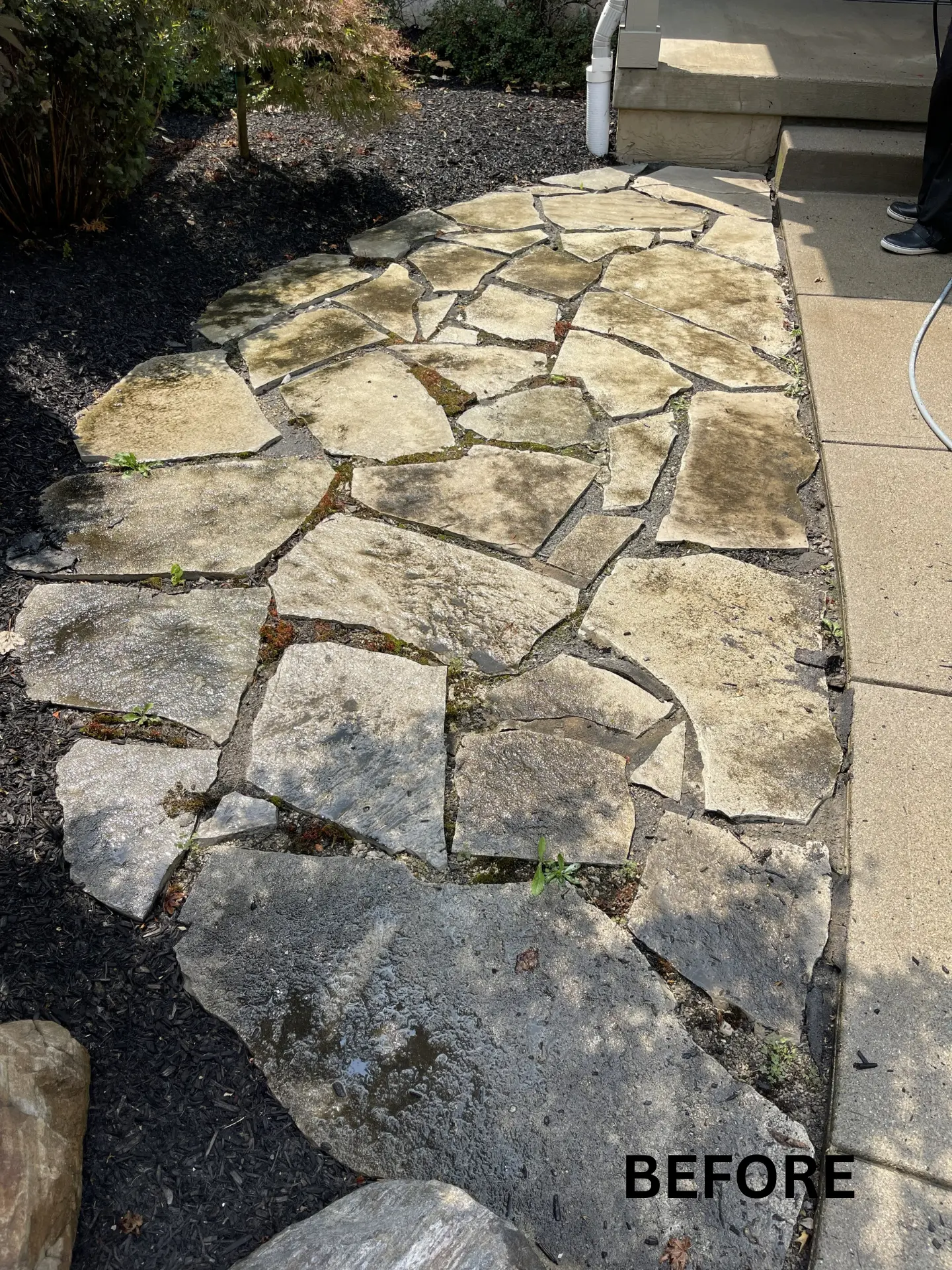 big-stone-paver-pressure-washing-before big stone pavers with algae and moss growing before being pressure washed