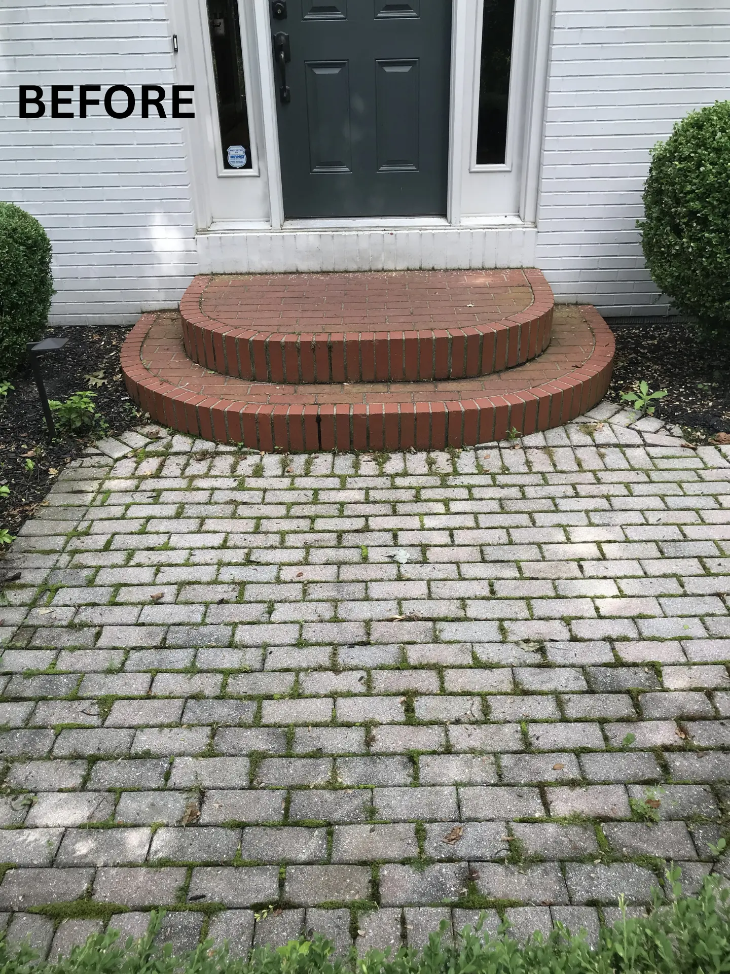brick-entryway-dirty-pressure-washing-before brick entryway with green moss growing in cracks before being professionally pressure washed