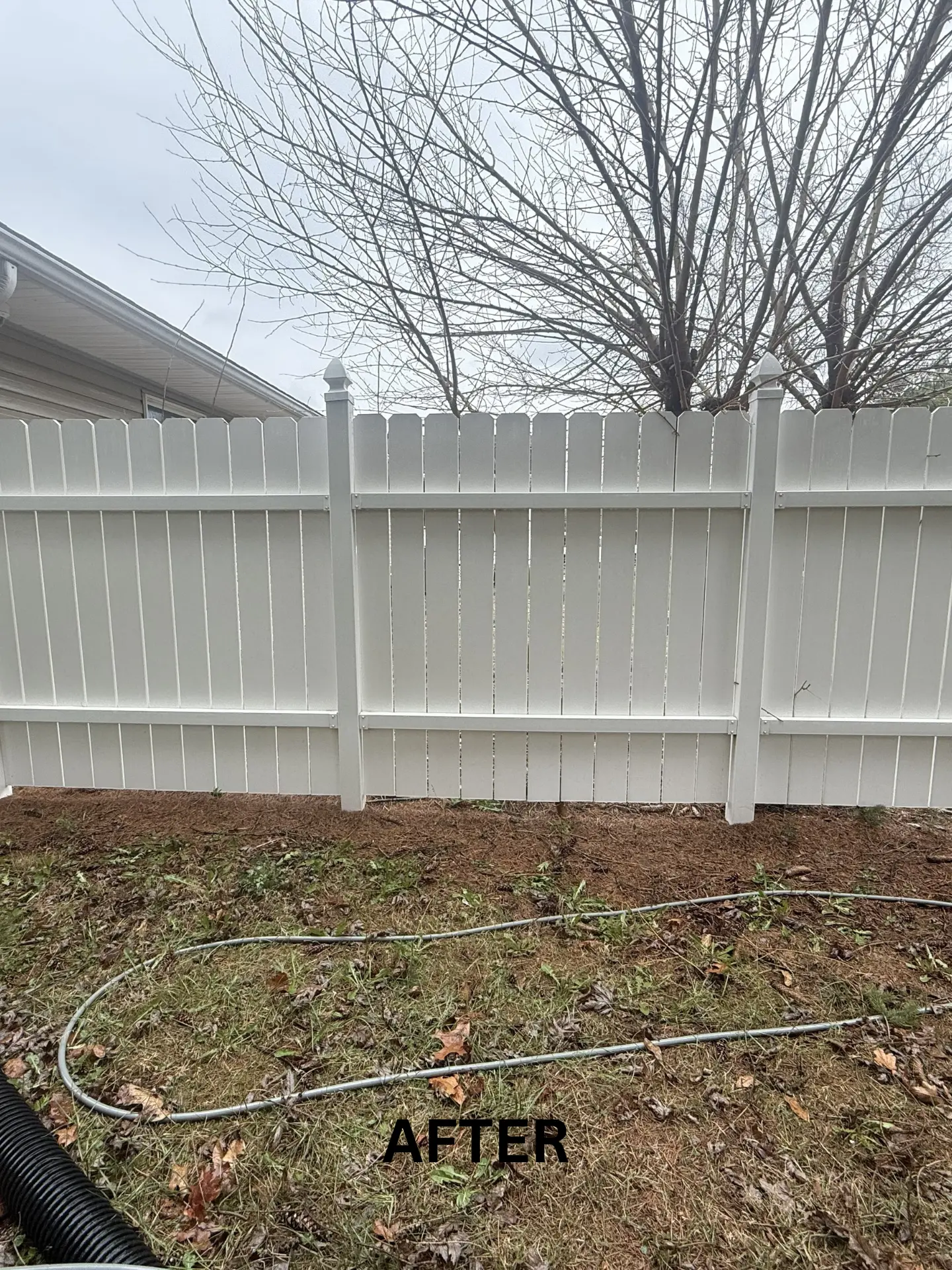 green-algae-fence-cleaning-after white privacy fencing bright and clean after being pressure washed by power clean