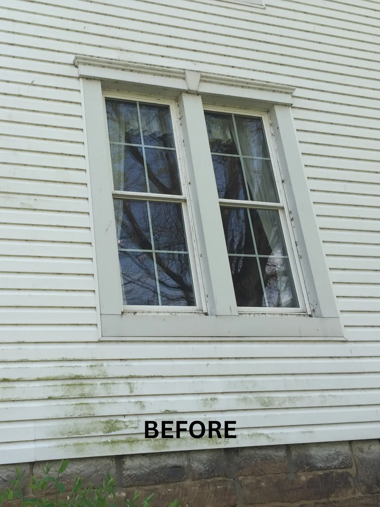 side-house-washing-before close up of white house with green algae growing before being pressure washed