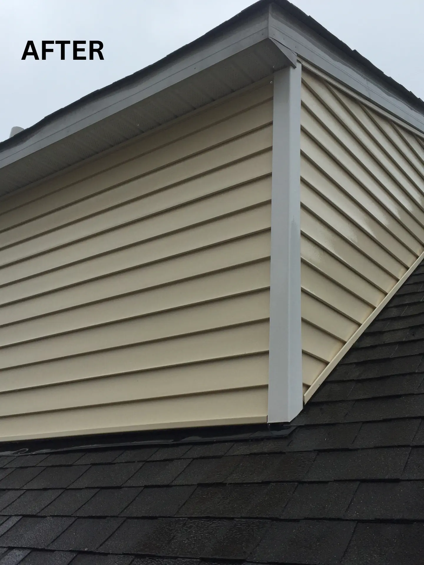 upper-roof-soft-washing-after upper siding clean after being power washed