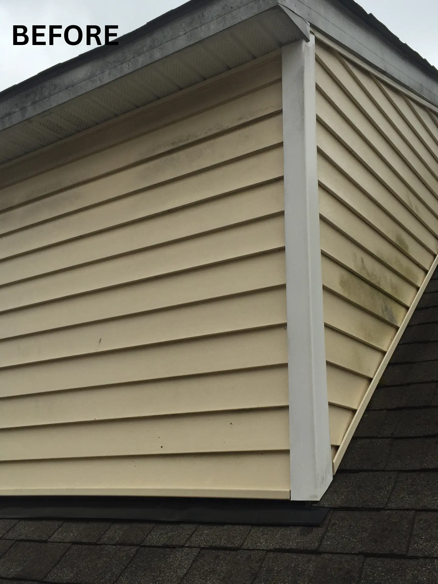 upper-roof-soft-washing-before upper siding dirty before being power washed
