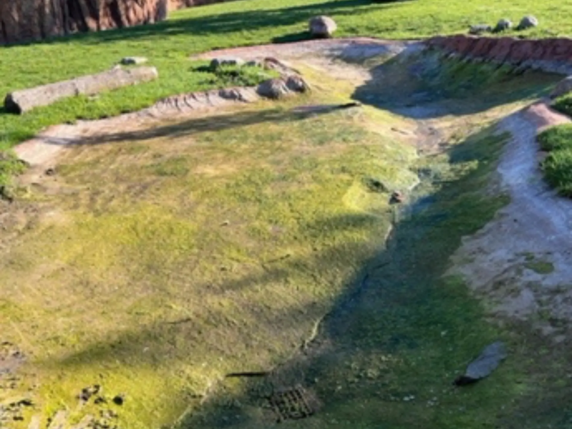watering-hole-columbus-zoo-before A watering hole full of green algae and moss at the Columbus Zoo before being pressure washed by power clean